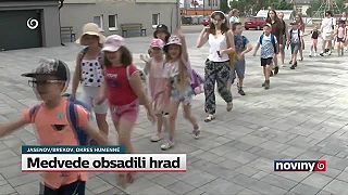 Medvedici s dvomi mláďatami sa zapáčili turistické lokality pri Humennom