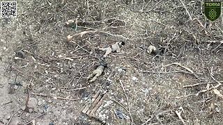 Okupant sa pridal ku bratom okupantom