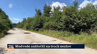 V piatok a sobotu dvom mužom zachránia život strelná zbraň pred útokom medveďa