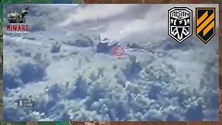 Mínus 2S4 Tyulpan #03