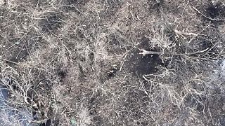 Nočný lov 8. horského útočného práporu