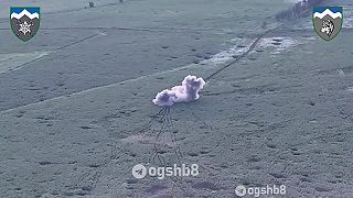 Okupanti pri pokuse o útok boli denacifikovaní