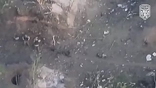 Zber povaľačov pri Bachmute