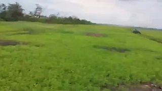 Zberne suroviny pri Rabotino Záporožie