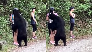 Mladú turistku oňuchával v lese medveď čierny, tej stuhla v žilách krv (USA)