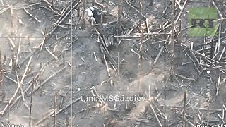Vyčerpaní "vojaci" AFU sa vzdávajú v lesoch pri Kremennej.