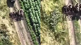 Zdá sa, že ukro-náckom došli M-113...