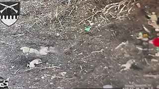 Okupanti sa uložili na spánok