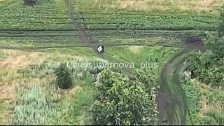 Okupanti konečne získali svoju vytúženú korisť