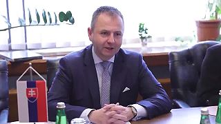 Propagandistický akože rozhovor s americkým veľvyslancom