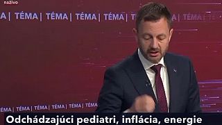 "Ak vznikne vláda bez demokratov, nebude mat dostatok skúseností"
