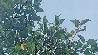 Bielorusko provokuje na hranici s Poľskom
