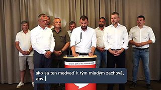 Premnožené medvede na východe Slovenska