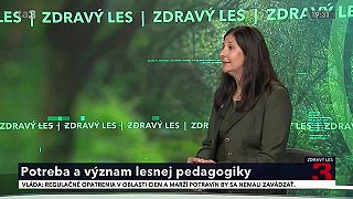 Zdravý les: lesná pedagogika 2