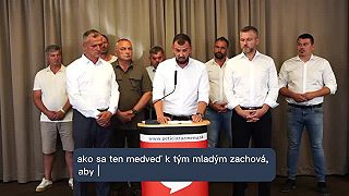 Premnožené medvede. Strana Hlas tlačovka