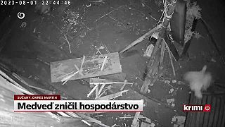 Medveď zničil hospodárstvo. Obyvatelia nevedia, čo majú robiť