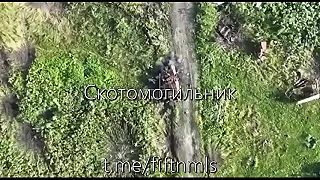 Ukrajinský protiútok v okolí dediny Novoselivske skončil masakrom