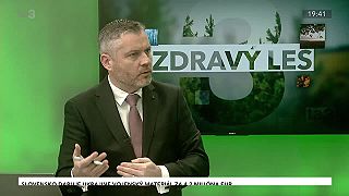 PEFC medzinárodná certifikácia lesov a dreva. Zdravý les