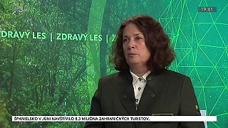 Ročne sa na Slovensku vysadí neuveriteľných 15 miliónov stromčekov!!