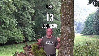 Ako vedci určili počet medveďov na Slovensku (klobáskový príklad)