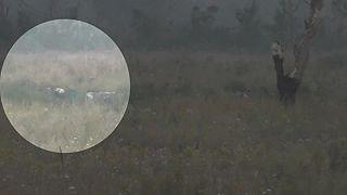 Ruský sniper prestrelil ukrajincovi hlavu