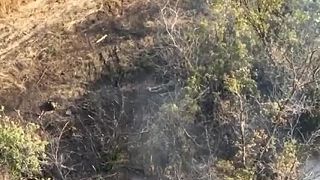Okupanti po strete s kazetovou muníciou