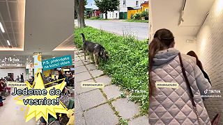 Tik Tok aj jeho tajomstvá,Ruský vidiek