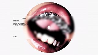 Steve Angello, Wh0 - What You Need (Visualizer)