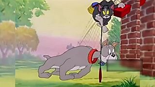 Tom a Jerry (rozprávka vs. realita)