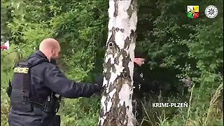 UKRAJINEC brutálne znásilnil a pobodal iba pätnásťročné dievča v Plzni-Lobzích!