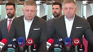 Fico zotrel Naďove hoaxy