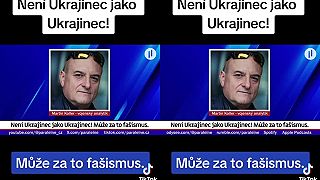 Tok Tok a jeho tajomstvá,, Martin Koller