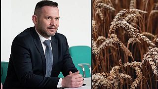 Megaškandál s ukrajinským kontaminovaným obilím pokračuje