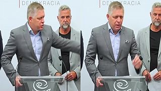 Môže si Ficová sestra kúpiť od štátnych lesov domček, ako si kúpil brat Šeligu?