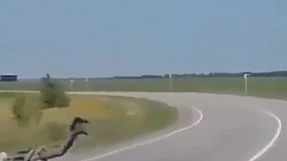 Ruský pilot baví okoloidúcich