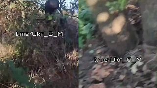 Ukrajinci sa ocitli pri evakuácii zraneného "vojaka" v mínovom poli.