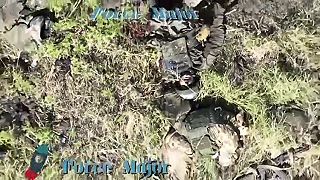 Snáď mali vo vrecku semienko slnečnice