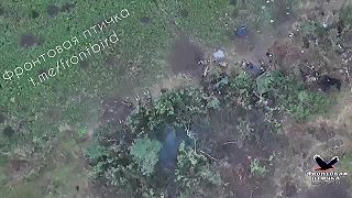 Ukro jatka