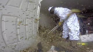 Odstraňovanie obrovského osieho hniezda zo záhradného domčeku