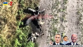 Divé svine žerú mrtvoly ukrajincov