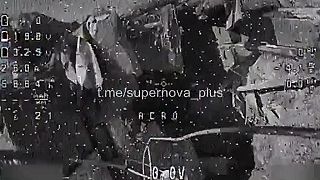 Invázny druh zaliezol do diery