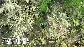 Daľší ukro masake