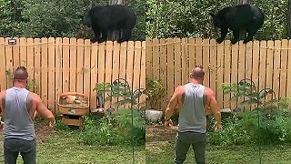 Chlap s malým čoklom vs. medveď na plote