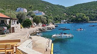 Pokrivenik - Hvar