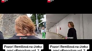 Remišova nedala novinarovy roz