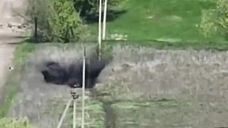 Dvaja Ivani si dobehli po priepustku