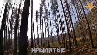Ruskí výsadkarí likvidujú nacistov z bataliónu Azov pri Lymane