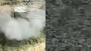 Ivan si chcel ešte trošku zdriemnuť