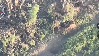 Ďalšiemu ukrajinskému vojakovi sa pokus o zostrelenie FPV dronu stal osudným