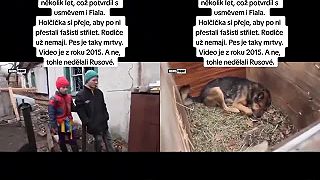 Tik Tok a jeho tajomstvá,,2015